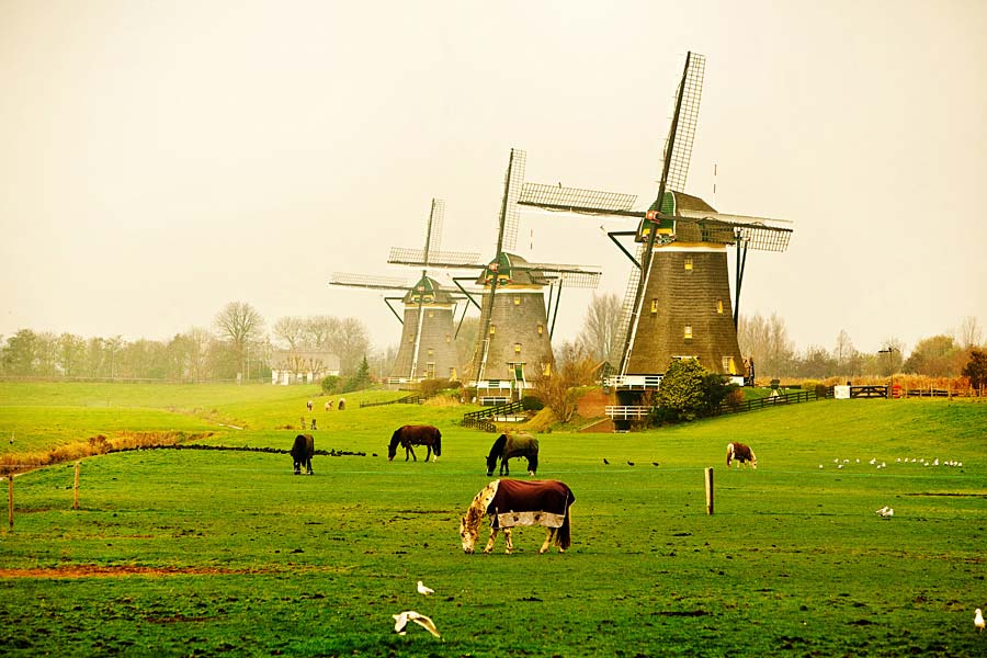 větrné mlýny, Nizozemsko