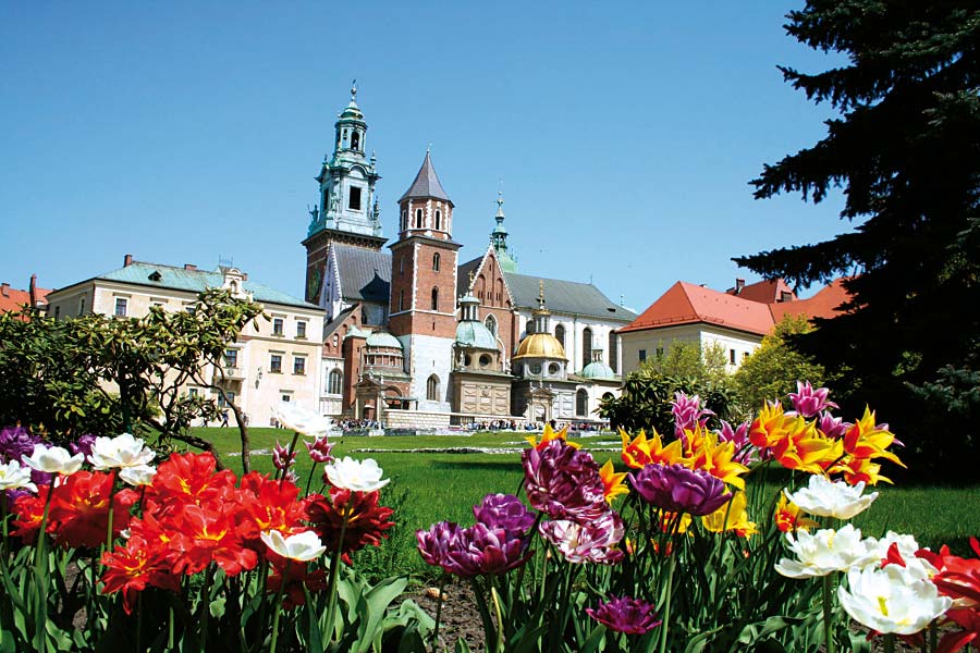 Wawel, Krakov, Polsko
