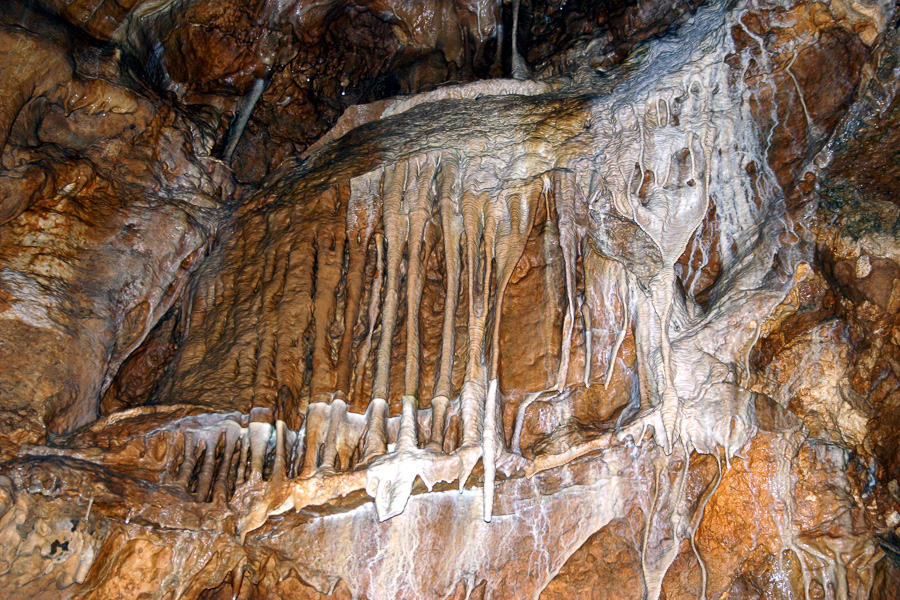 Ceska republika Koneprusy, Konepruske jeskyne